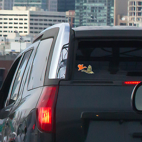 Mallards_Car.png