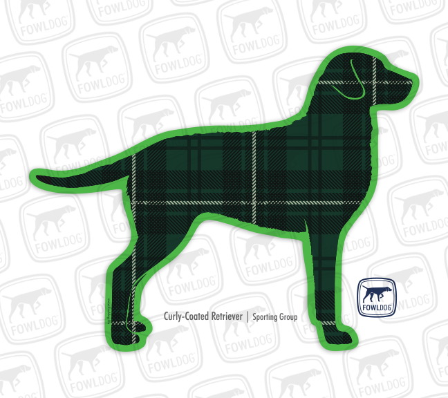 curly-coat-retriever purebred dog gift merchandise retail wholesale Fowl Dog