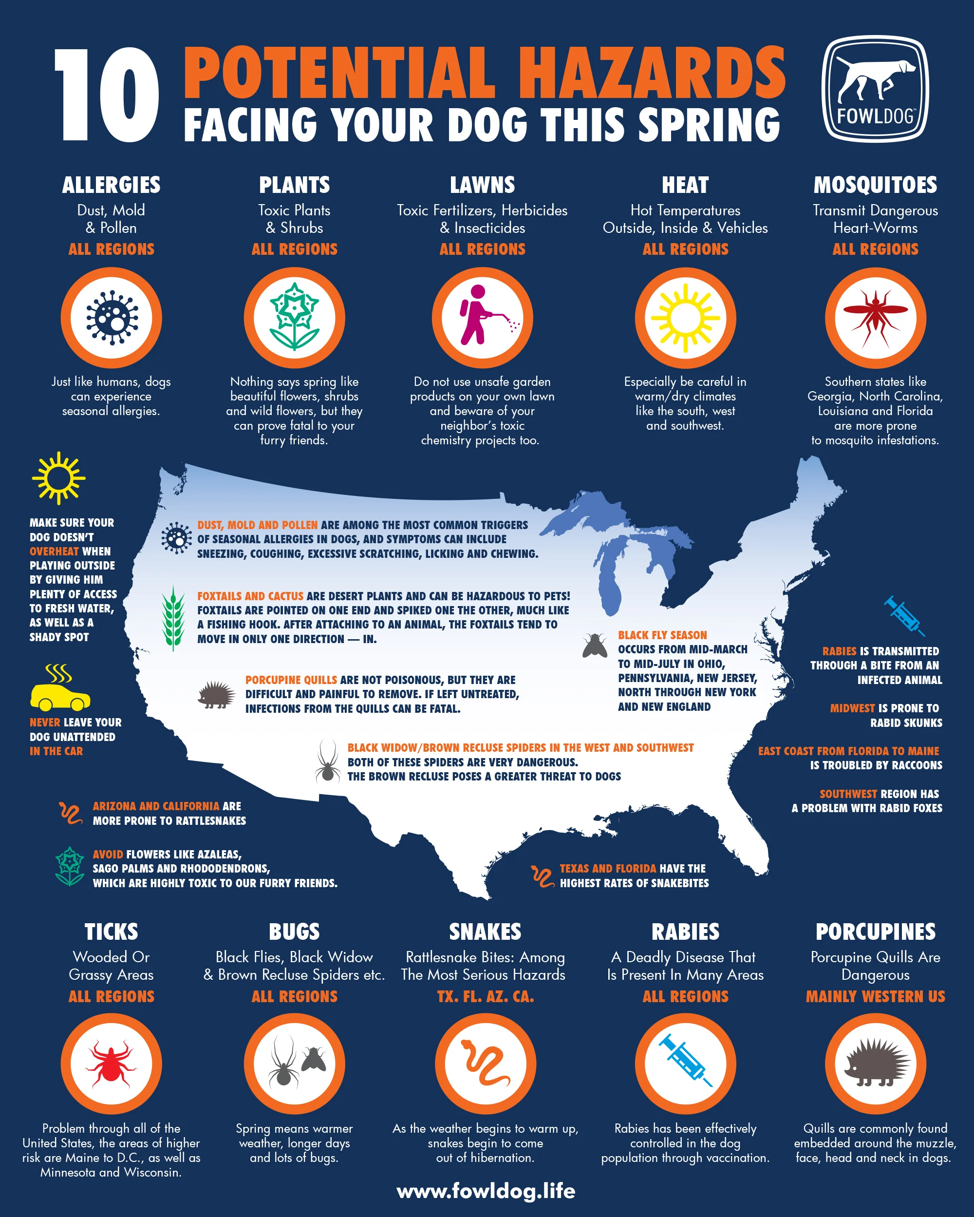 From insects and rodents to plants and weather, there are many dangers facing our dogs right in our own homes. Awareness is the first step to protecting your pet.