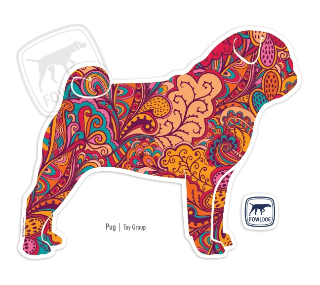 pug moroccan pattern color toy dog small dog breed cute