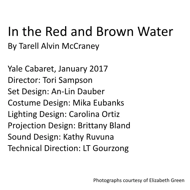 In the Red and Brown Water.001.jpeg