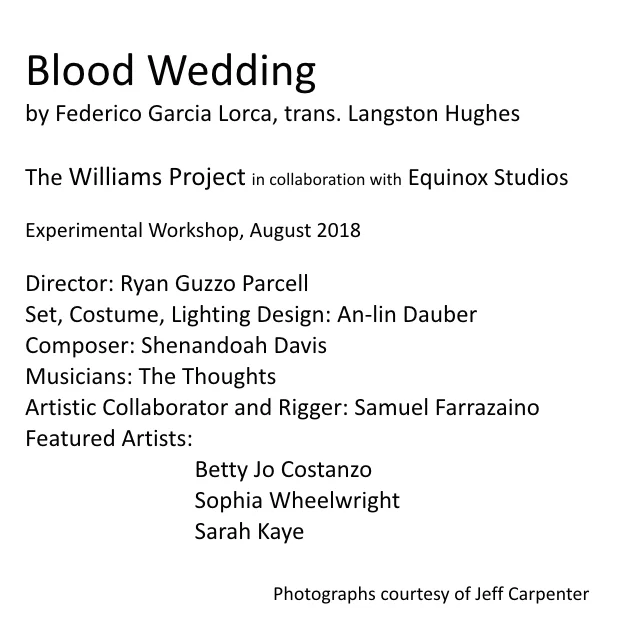 Blood Wedding.jpeg