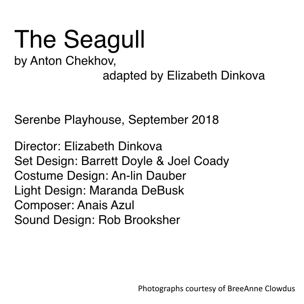The seagull.jpeg