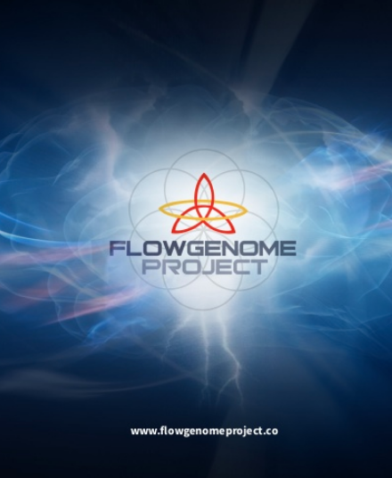 Flow Genome Project