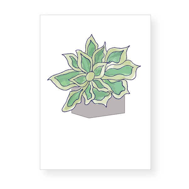 ProductImage_MiniCards2_Succulent.png