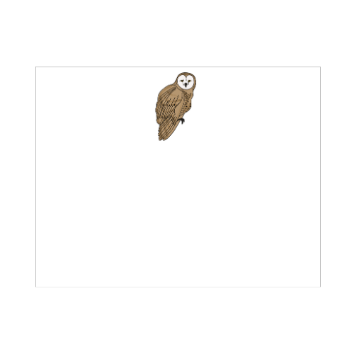 Illustrated barn owl note card with a tawny brown owl in a perched three-quarter pose, heart-shaped white face and golden eyes on a clean white background, designed by Viola and Beatrice Stationers