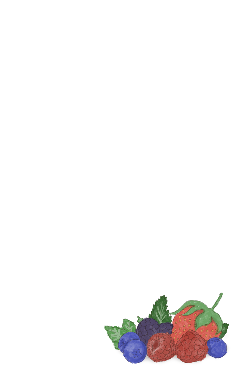 StationeryKits_PI2_Berries_Sheet.png