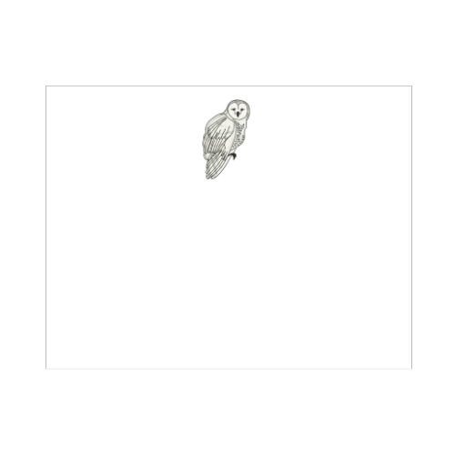 Illustrated snowy owl note card with a pale white barn owl perched in a three-quarter pose with golden eyes and speckled feathers, designed by Viola and Beatrice Stationers