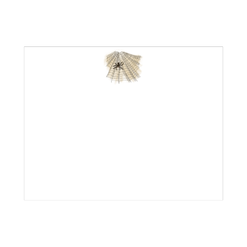 illustrated spider on a web designed by Viola and Beatrice Stationers