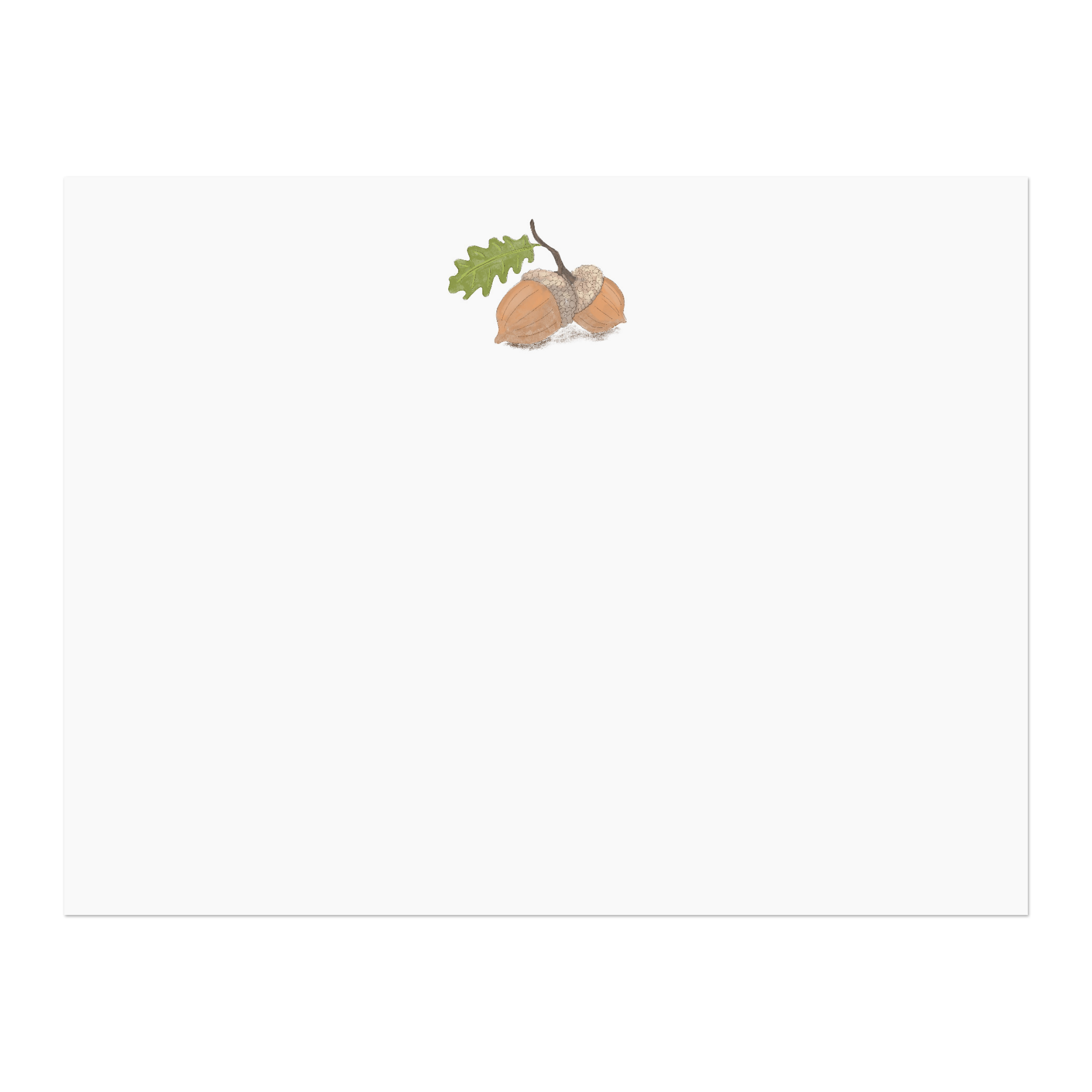 two illustrated acorns designed by Viola and Beatrice Stationers