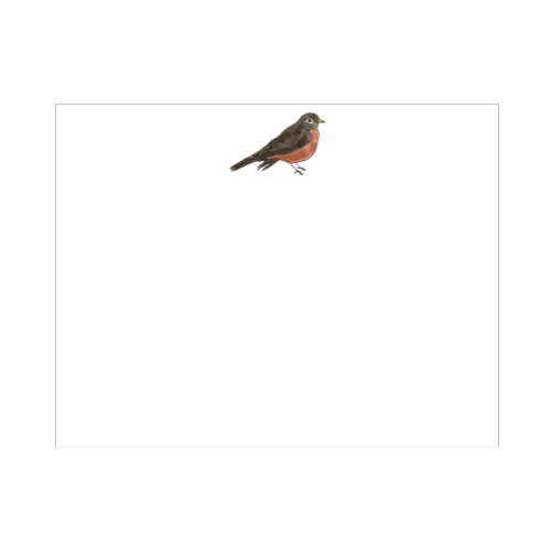 Illustrated American robin note card with a plump dark-winged bird, warm rust-red breast, and yellow beak standing on a clean white background, designed by Viola and Beatrice Stationers