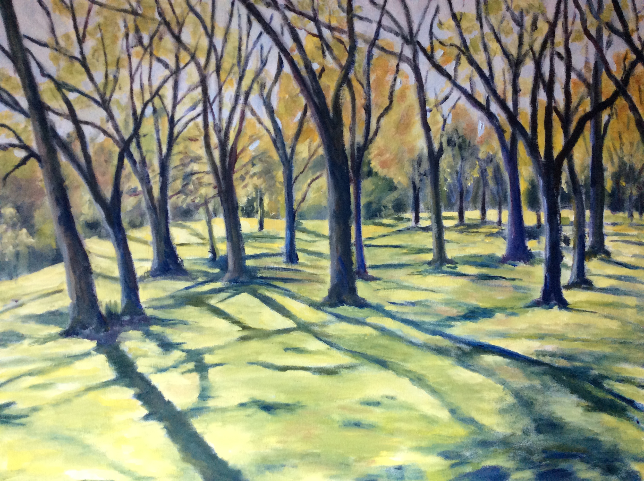   Beacon Hill Park   Oil 24 x 30   