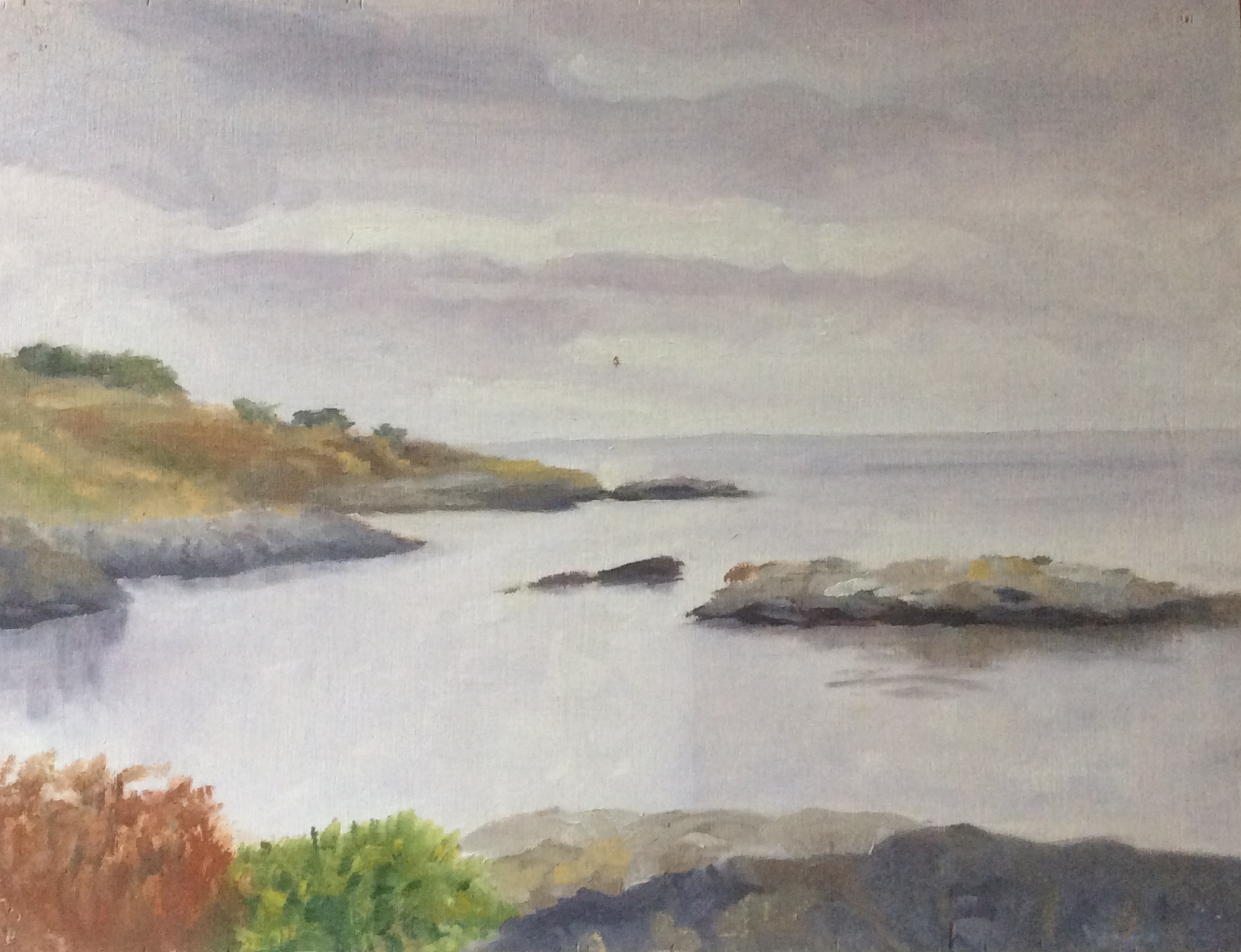   Saxe Point Mist    Oil 9 x 12   