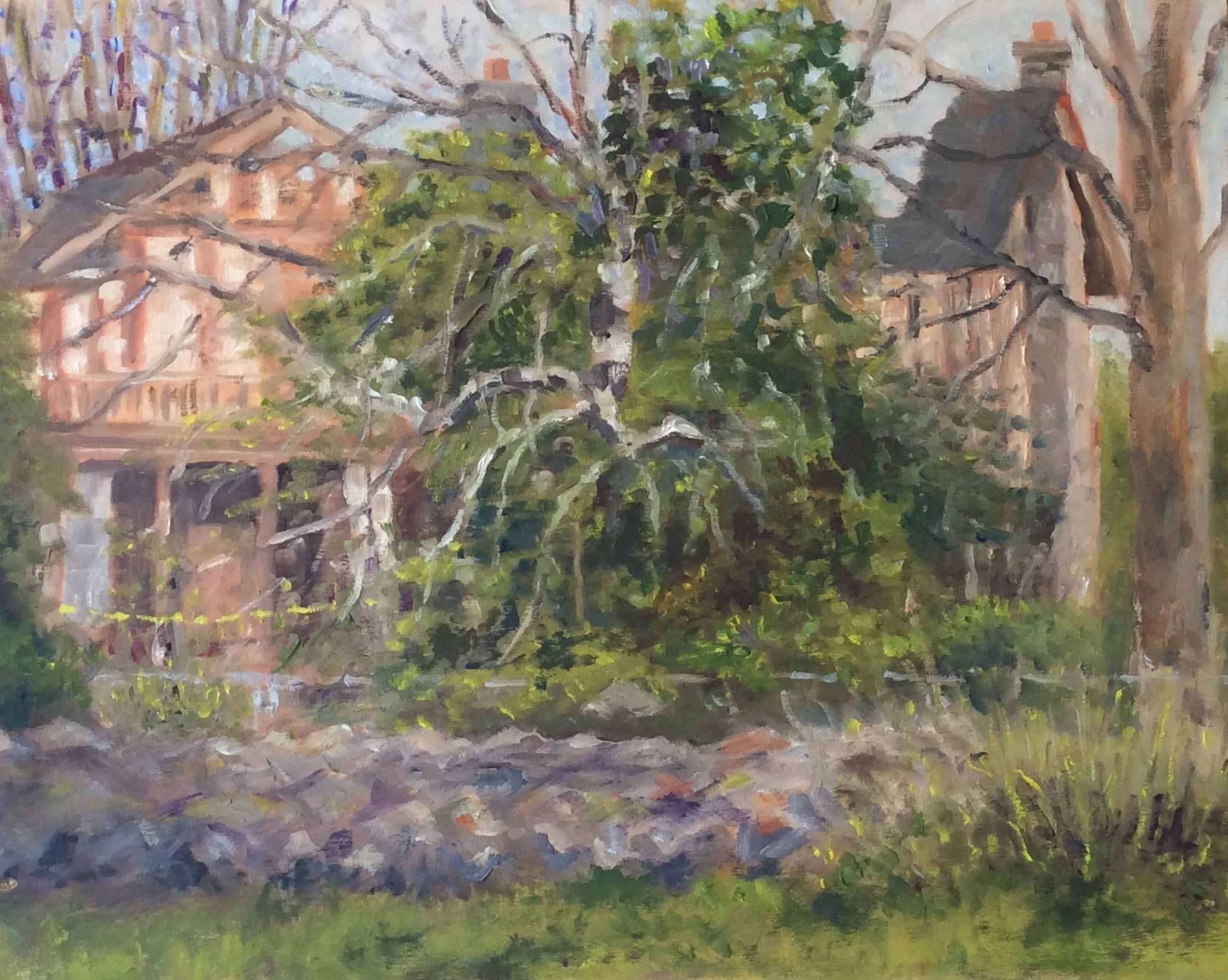 Cat Lady's Derelict House Oil 11 x 14
