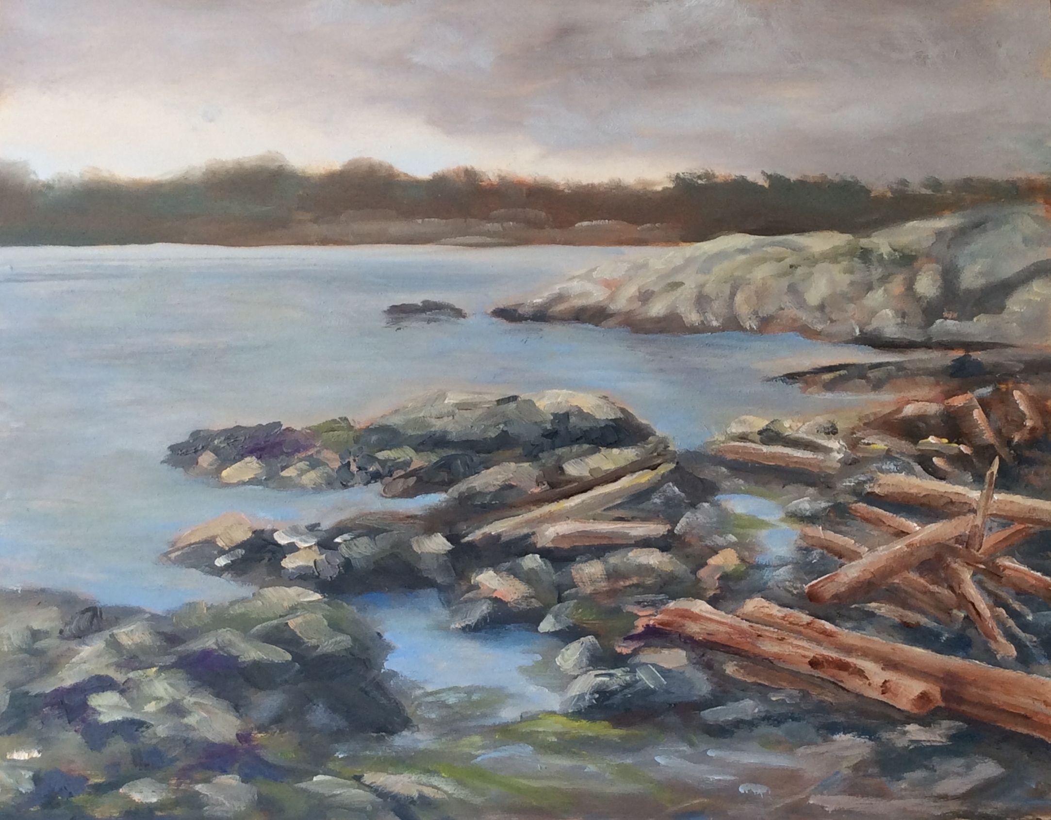   Cattle Point   Oil 11 x 14 