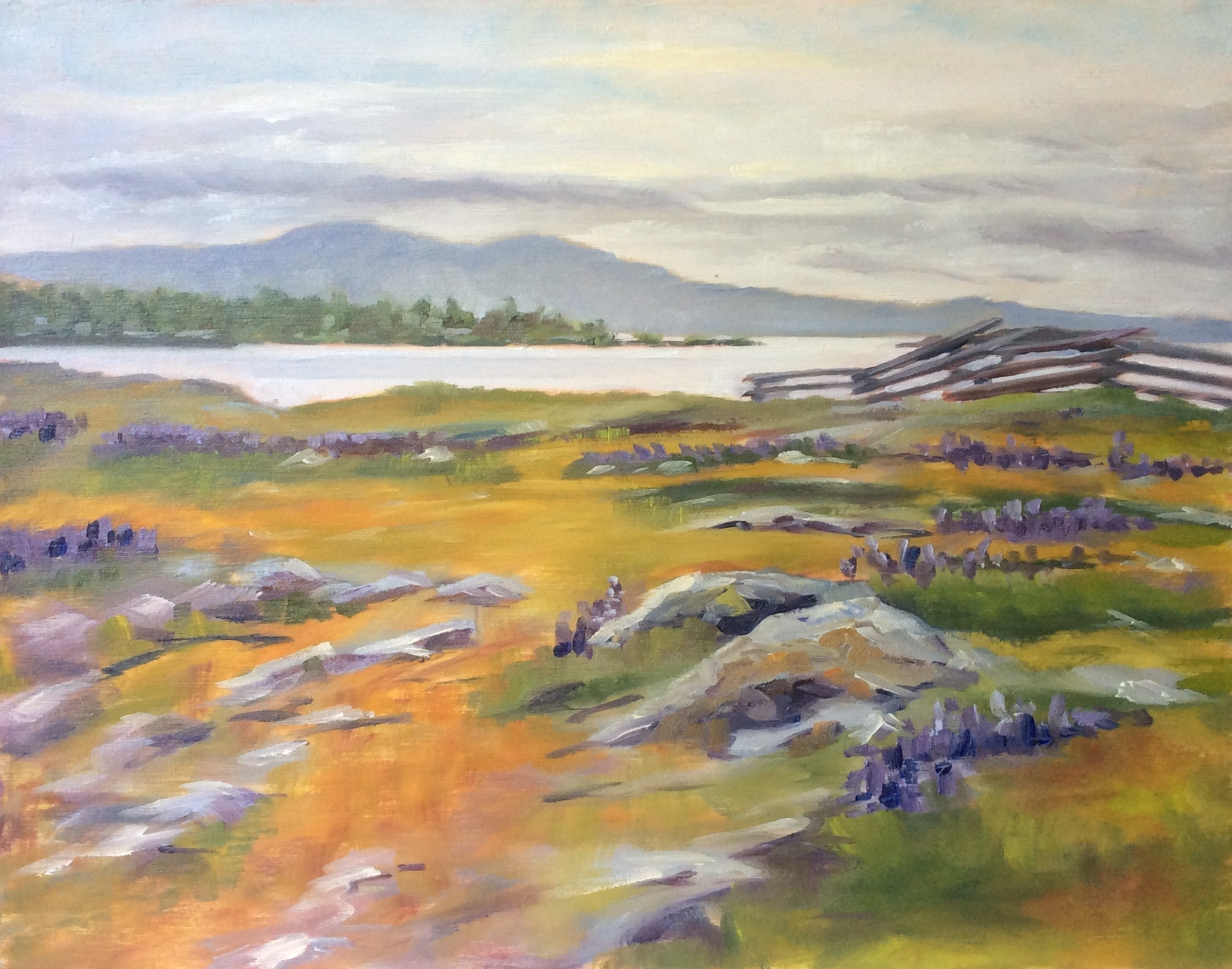   Spring Morning, Cattle Point (SOLD)   Oil 11 x 14 