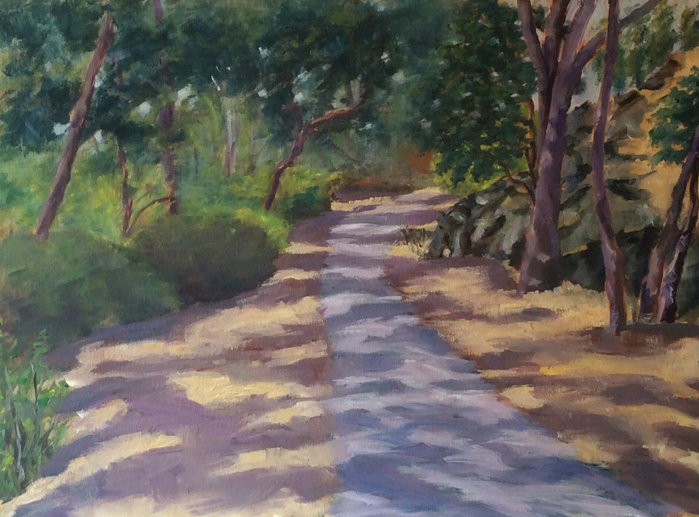 Dappled Pathway