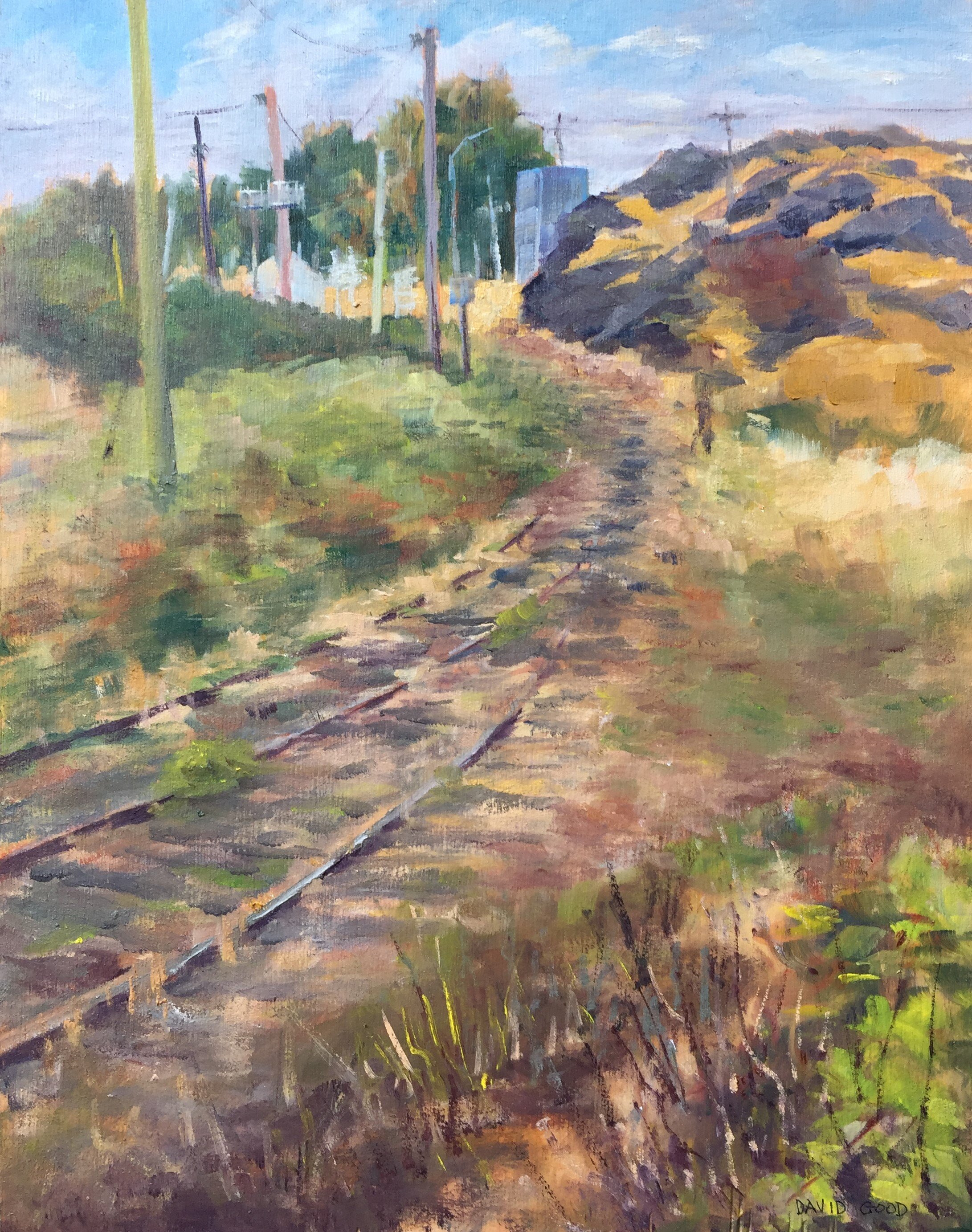 Along the E&N Rail Lines (SOLD)