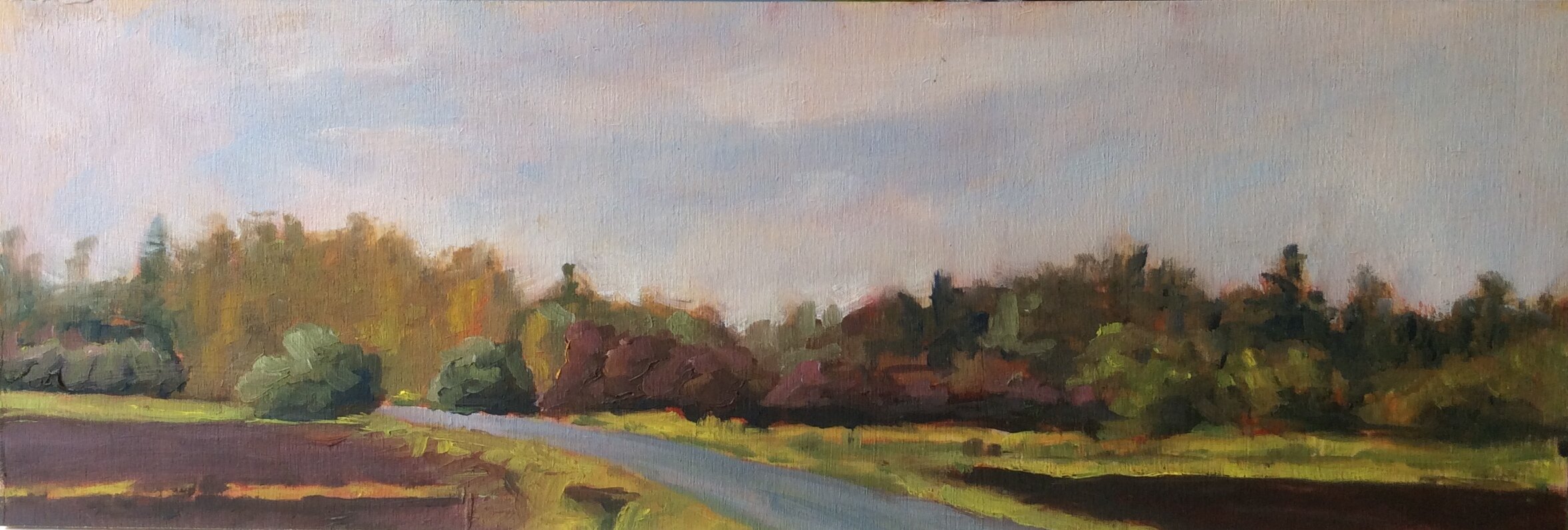 Along Lochside Drive (SOLD)