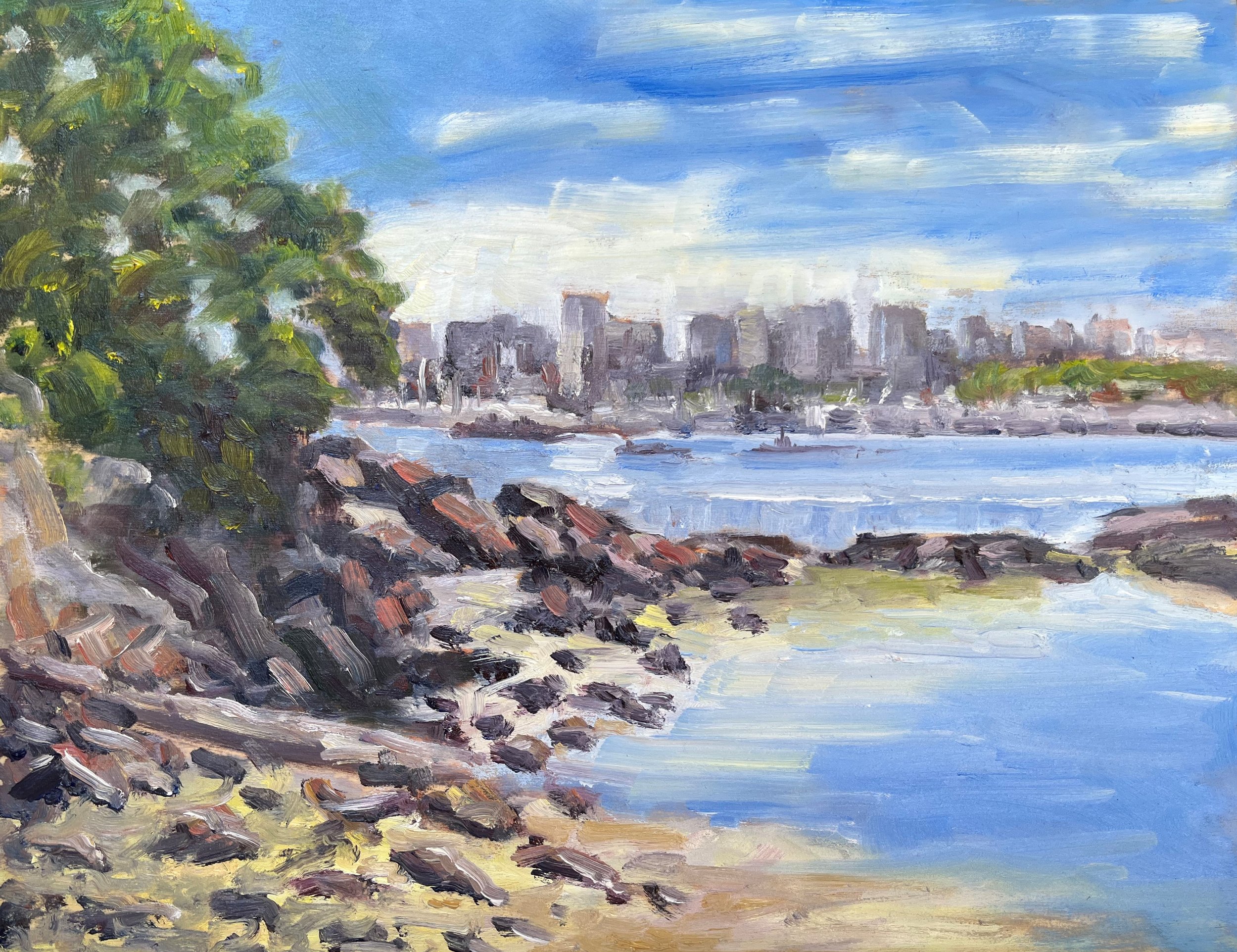 Victoria Harbour from Rainbow Park (SOLD)