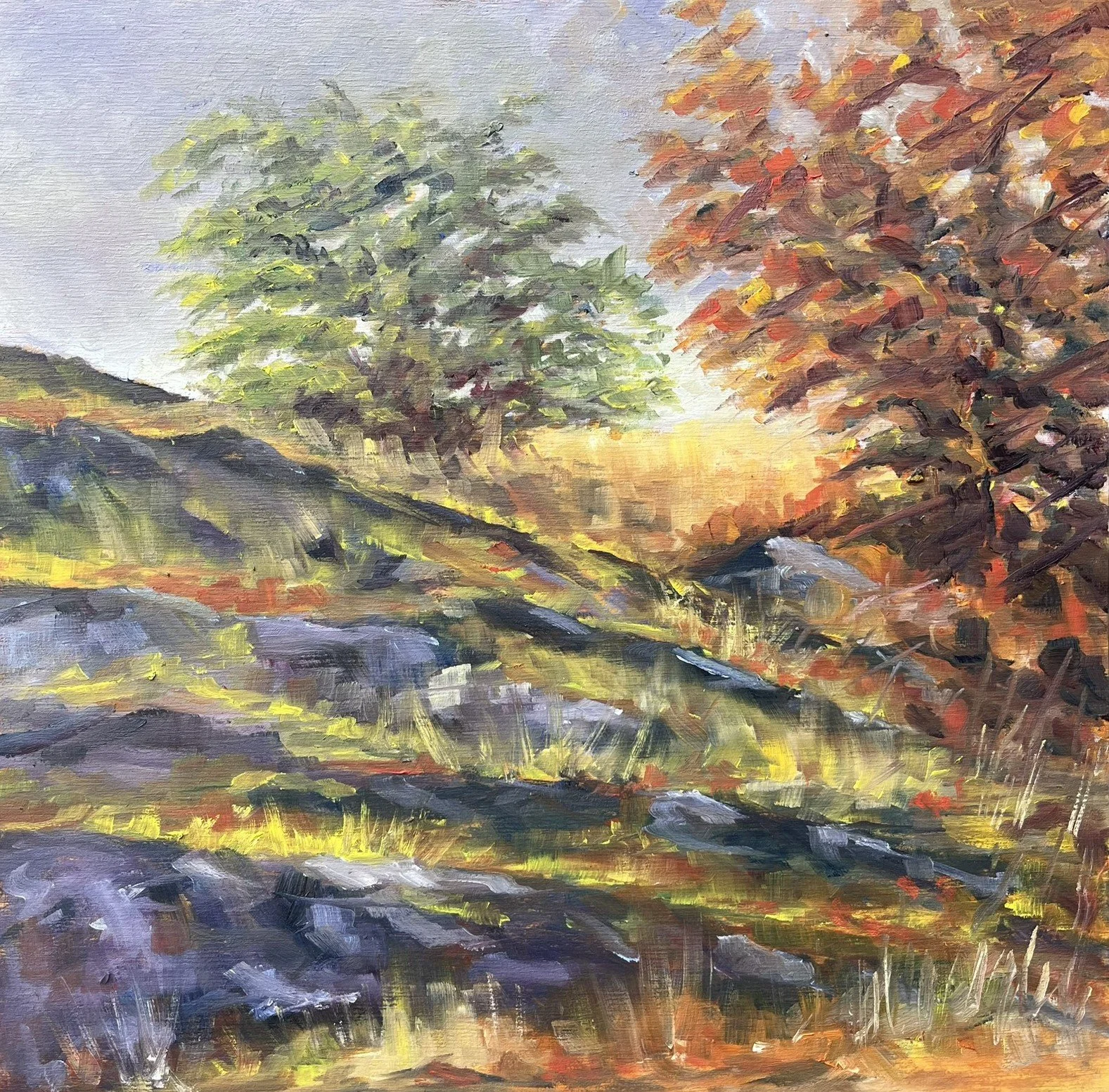 Warm and Cool -- Mount Tolmie