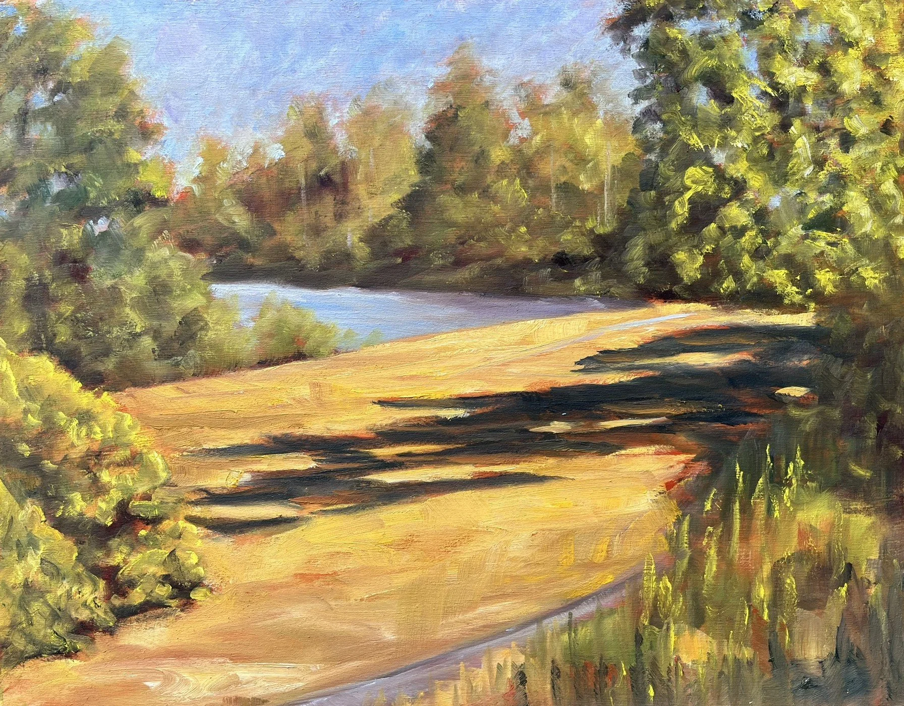 Summer Beside Elk Lake