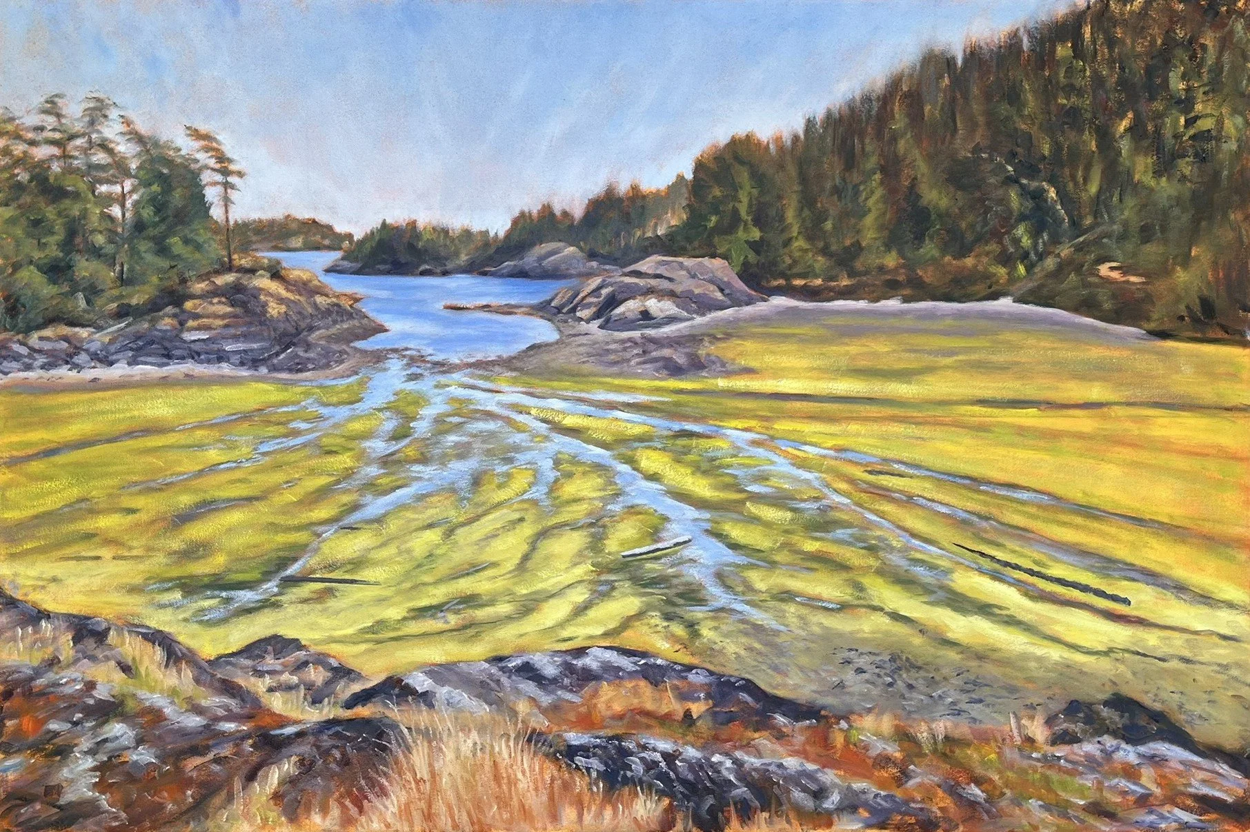 Low Tide at Home Bay, Jedediah Island