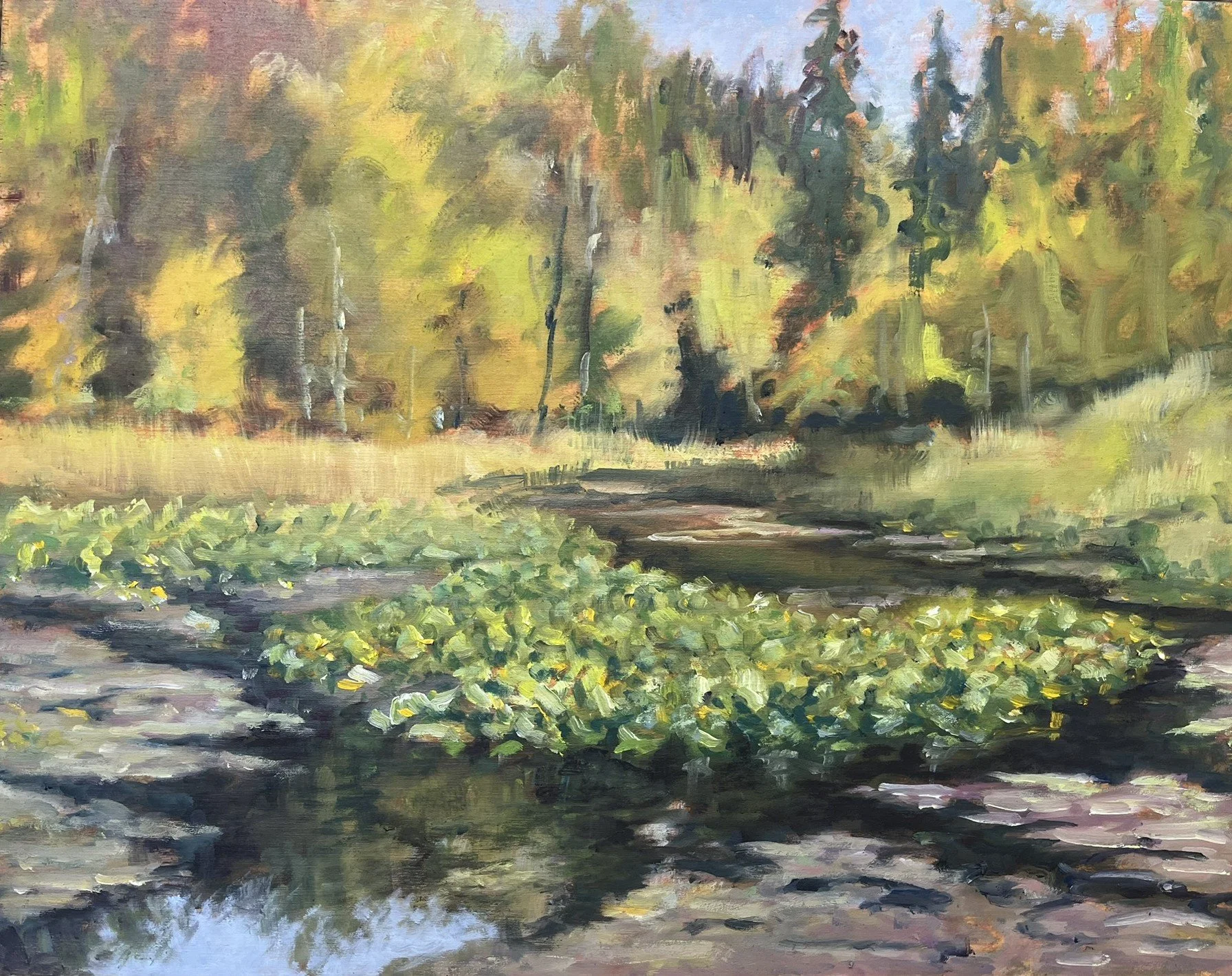 Beaver Lake Ponds