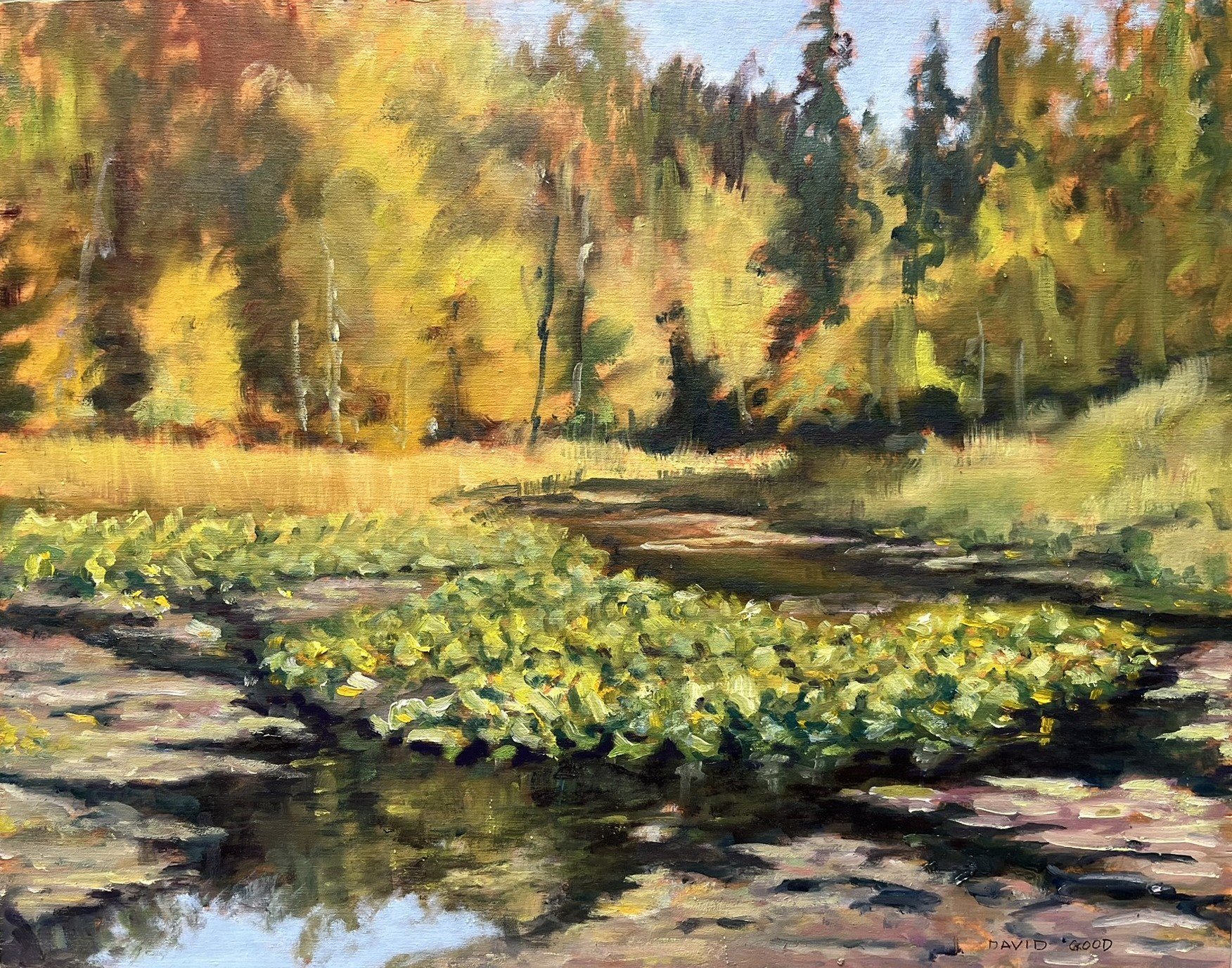 Beaver Lake Ponds