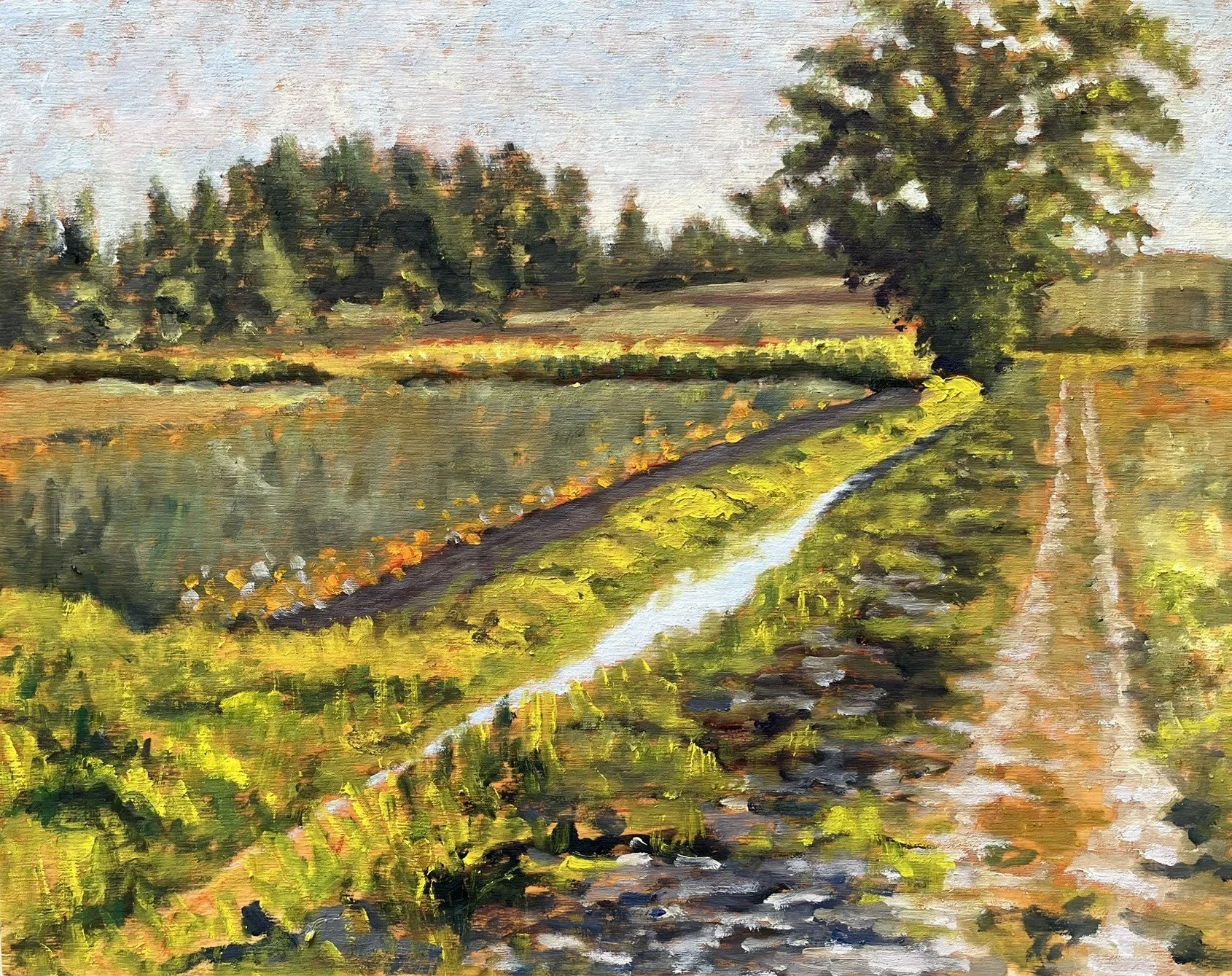 Fall Field Line 