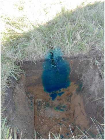 Aerway Penetration