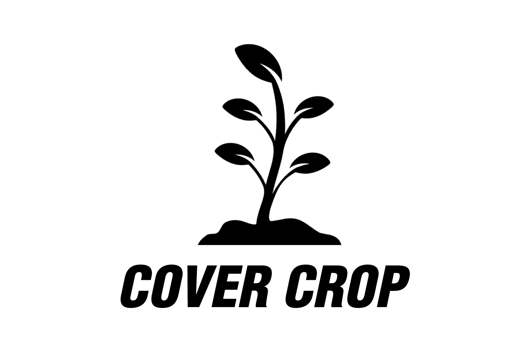 COVER CROP.jpg