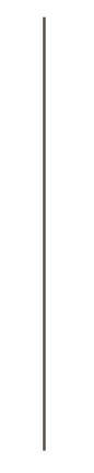 Vertical line.png