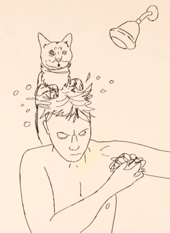 Domestic Cat