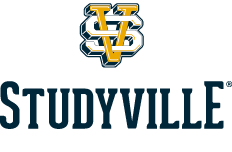 Studyville_2_footer_with_R.png