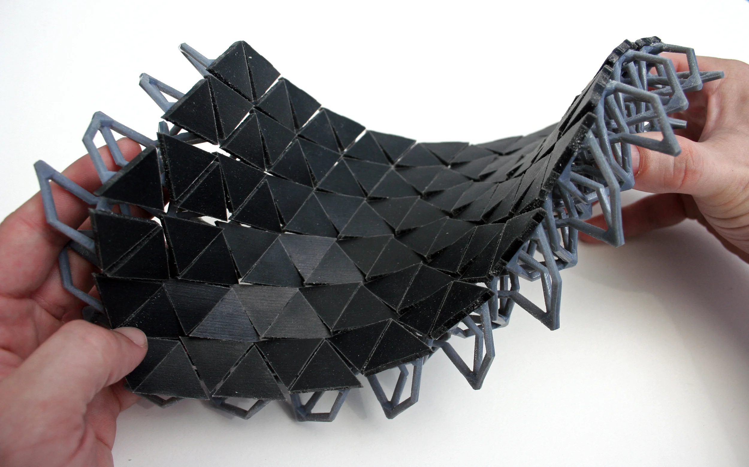 Copy of IMG_2678.JPG