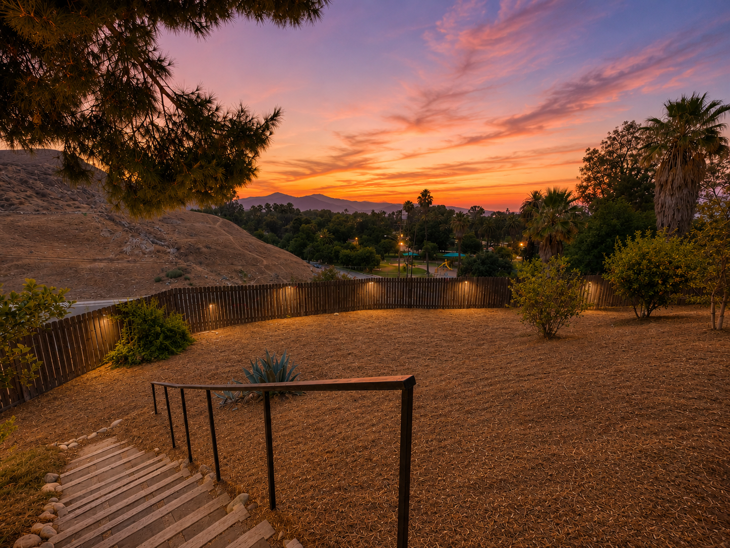 backyard dusk.png