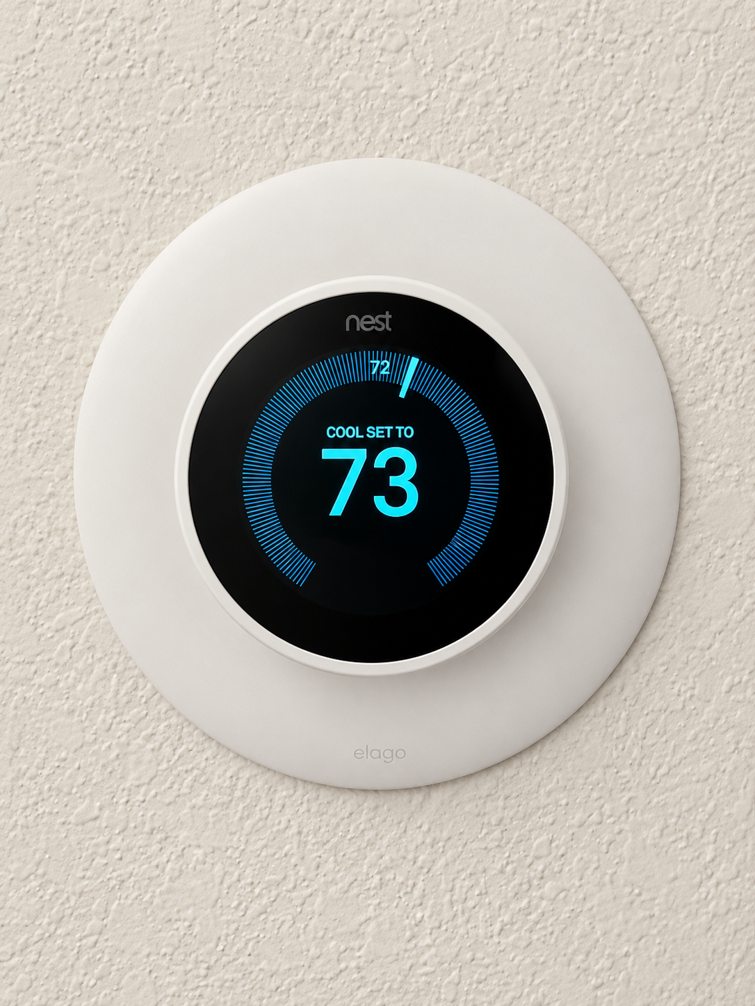 nest.png