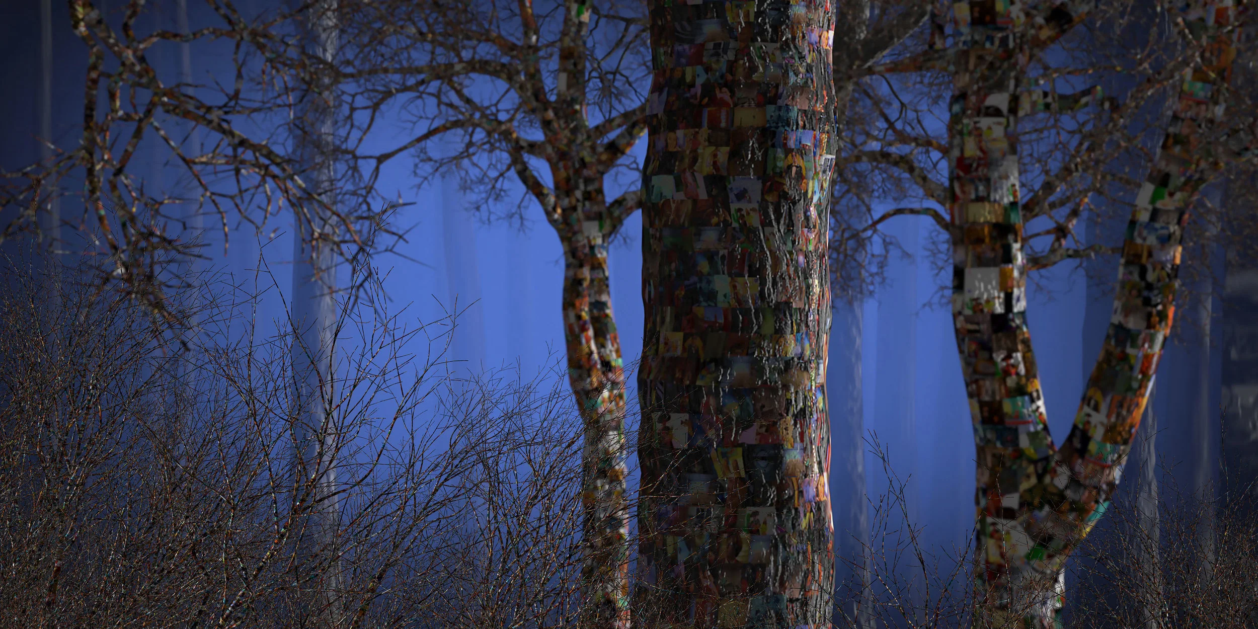 Dejan-R-Talking-Trees_UHD.jpg