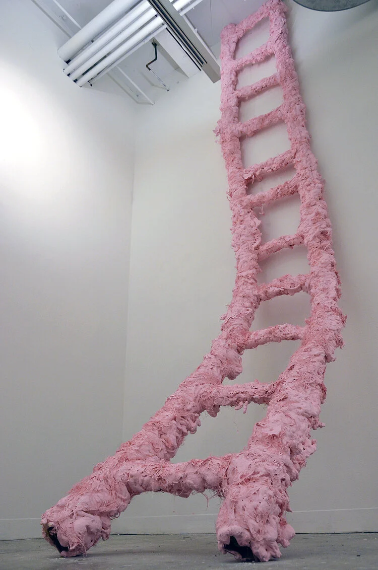 01_Pink_Ladder.jpg