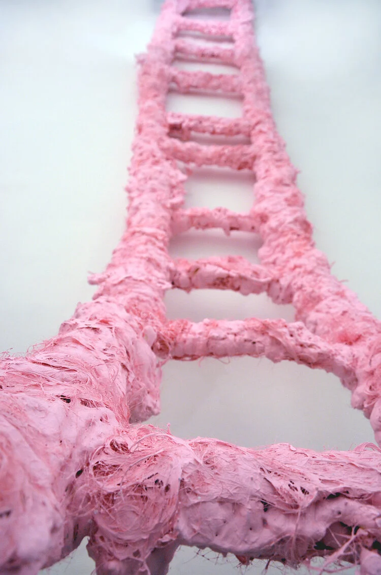 02_Pink_Ladder_Detail.jpg
