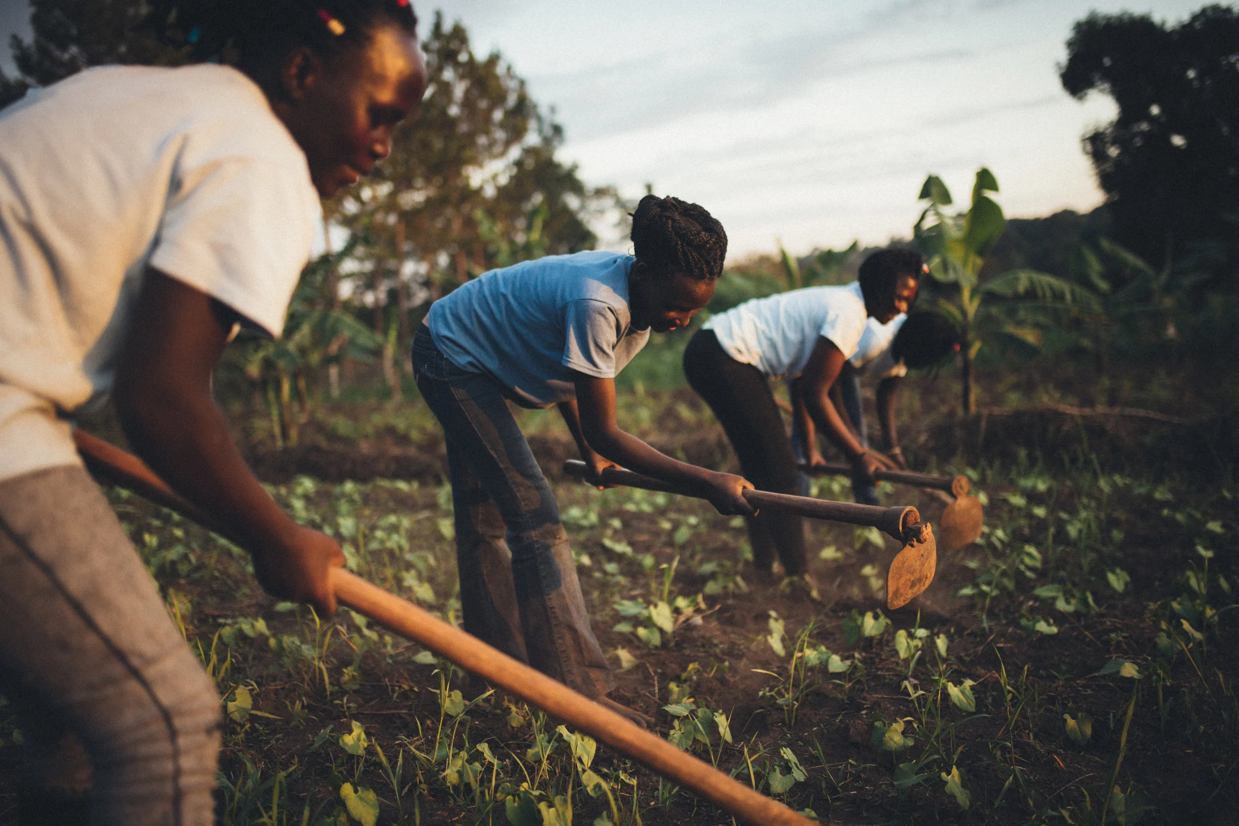 Farming Uganda Orphan Care.jpg