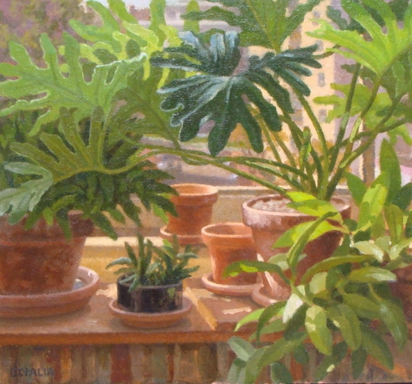 Philodendron and Pots.JPG