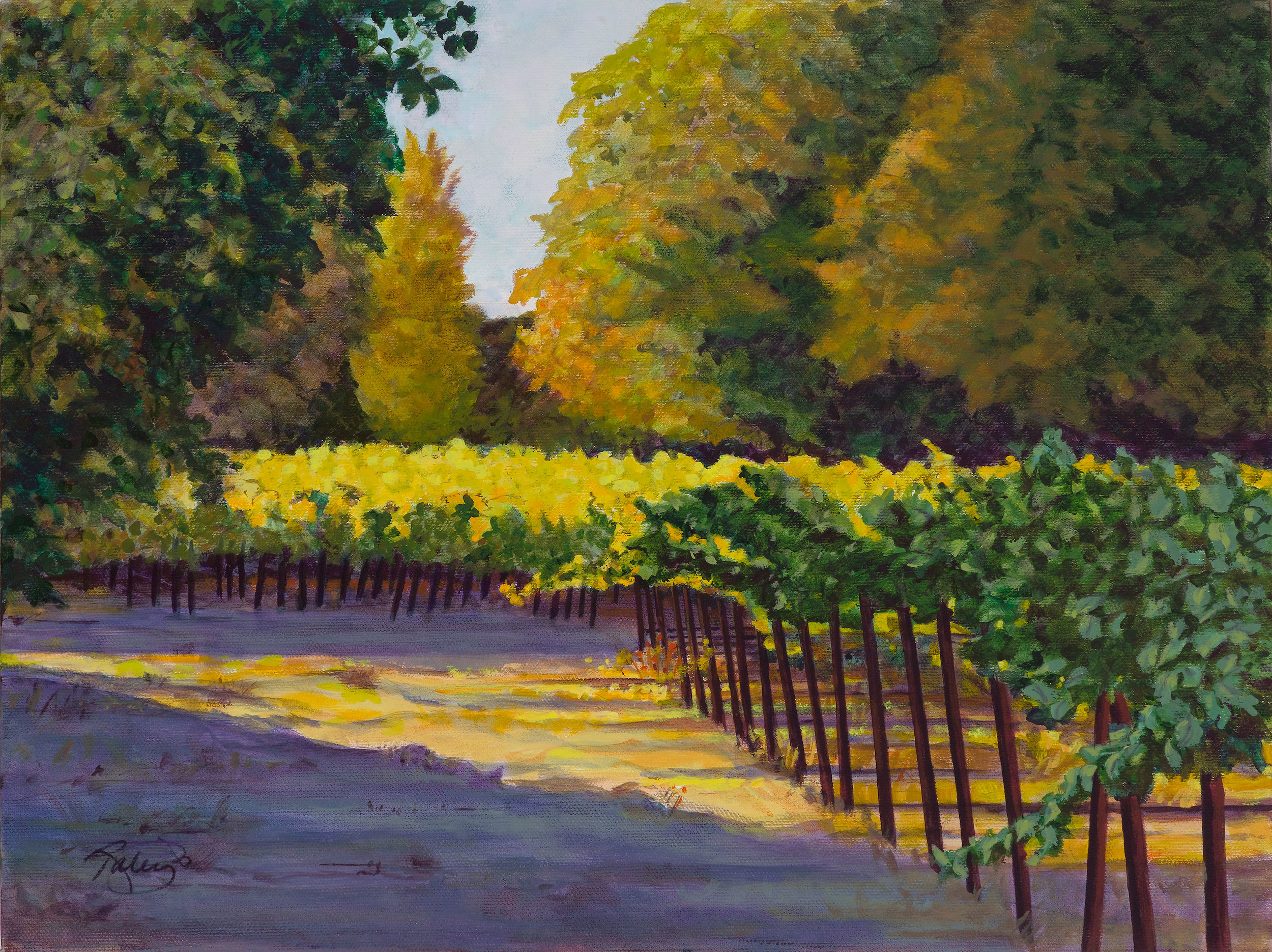 Napa-Valley-Vineyard-I.jpg