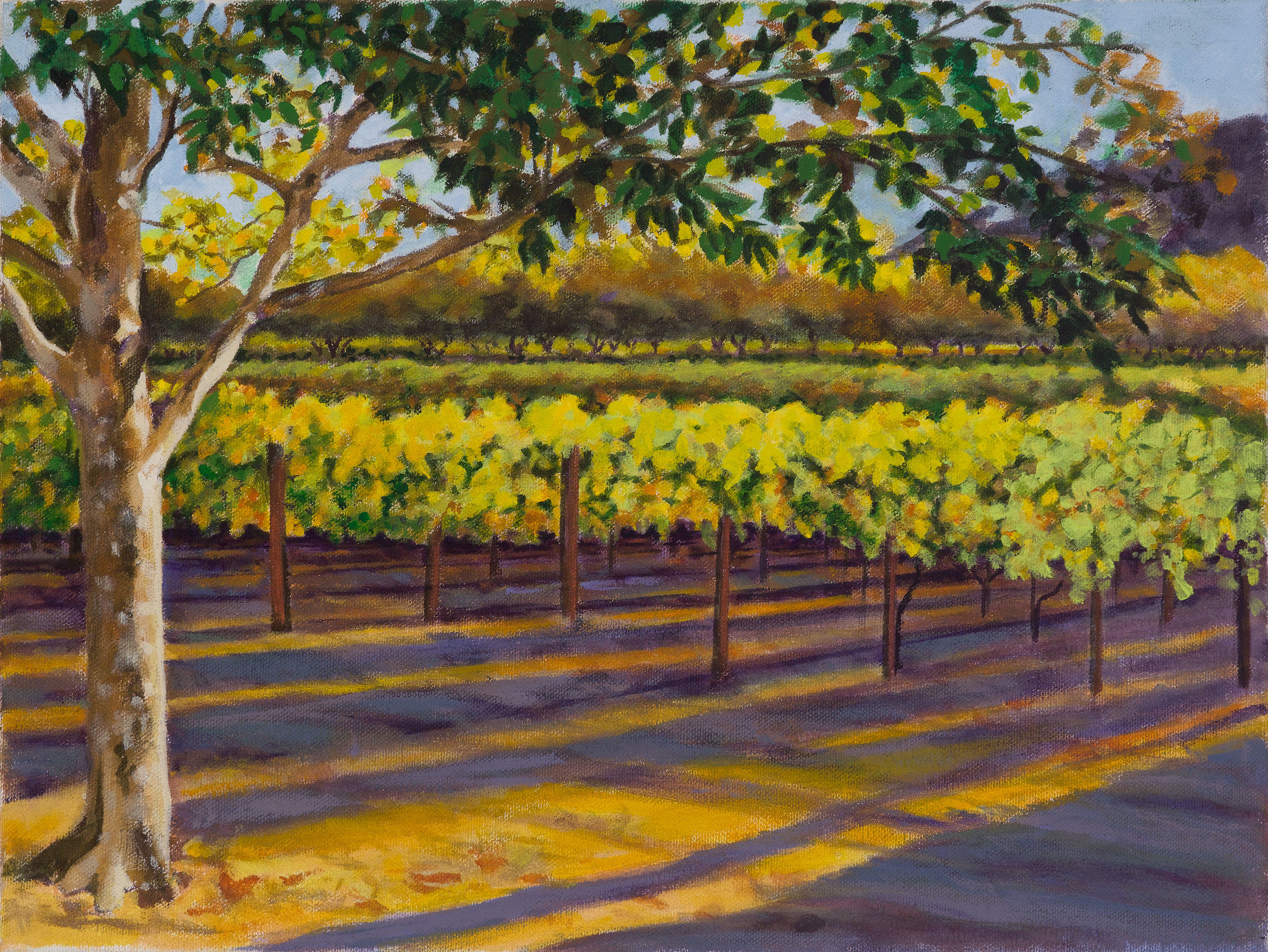 Napa-Valley-Vineyard-II.jpg