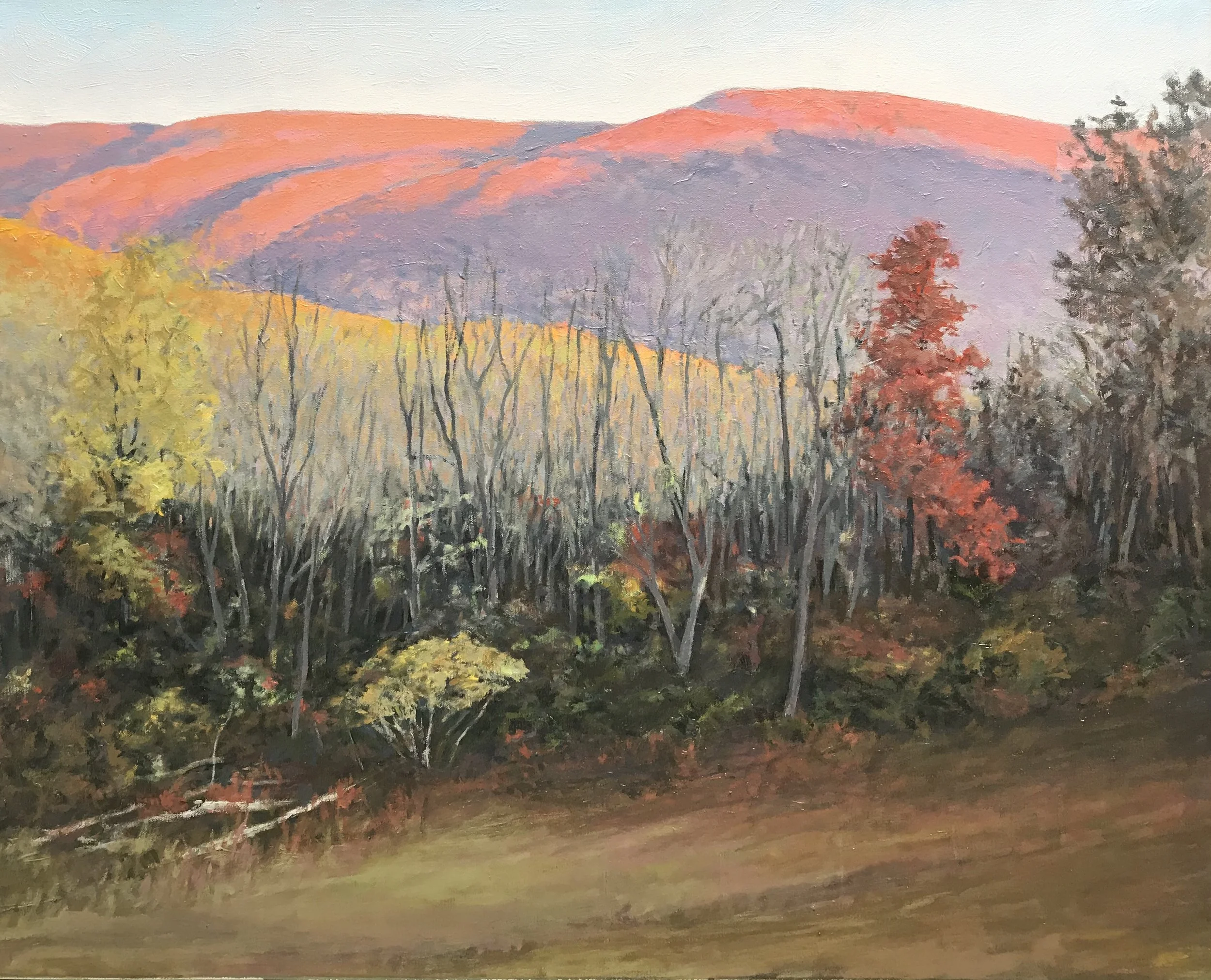 Full Color from House oil on canvas 24x30.jpg