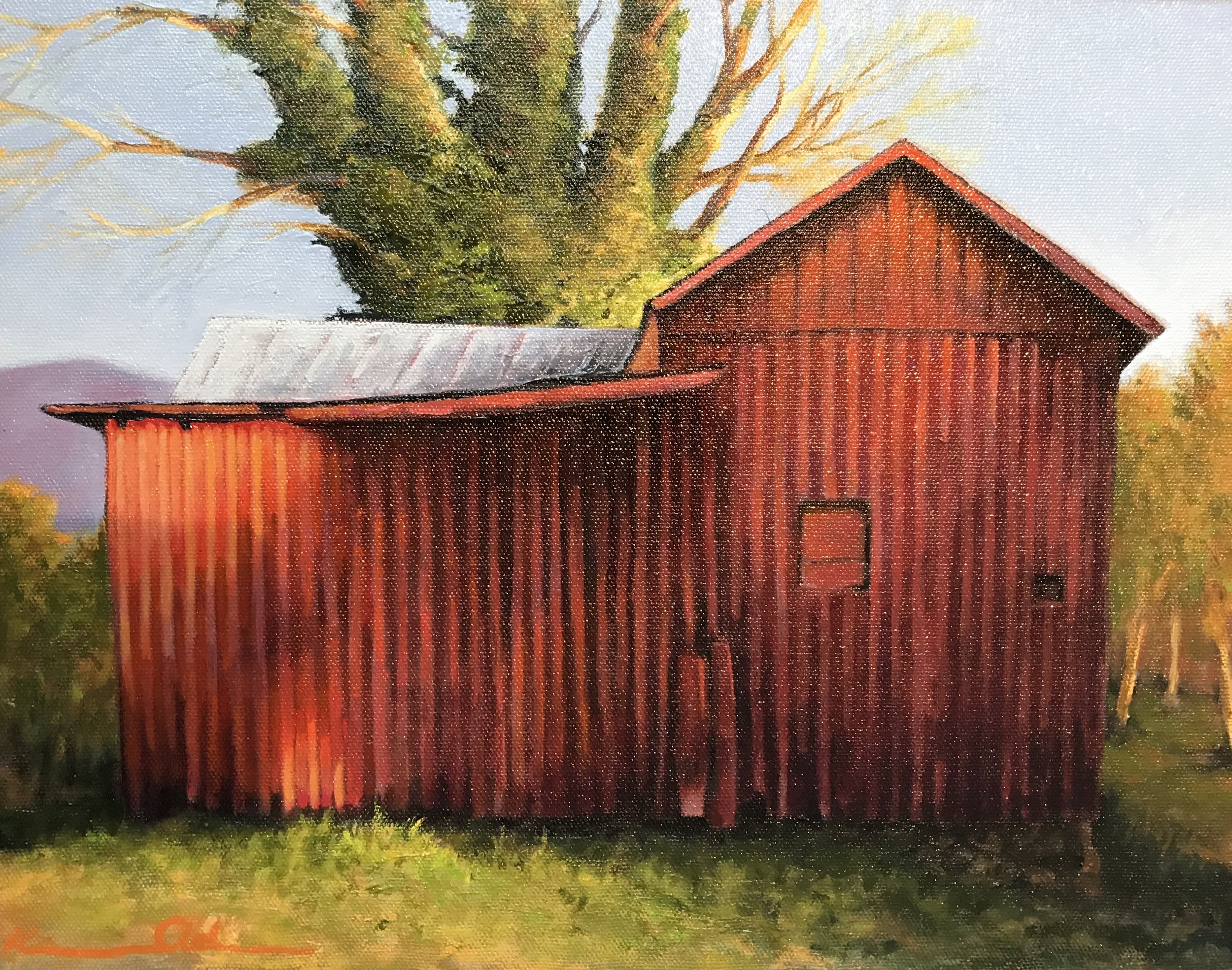 Red Shed oil on panel 11x14.jpg