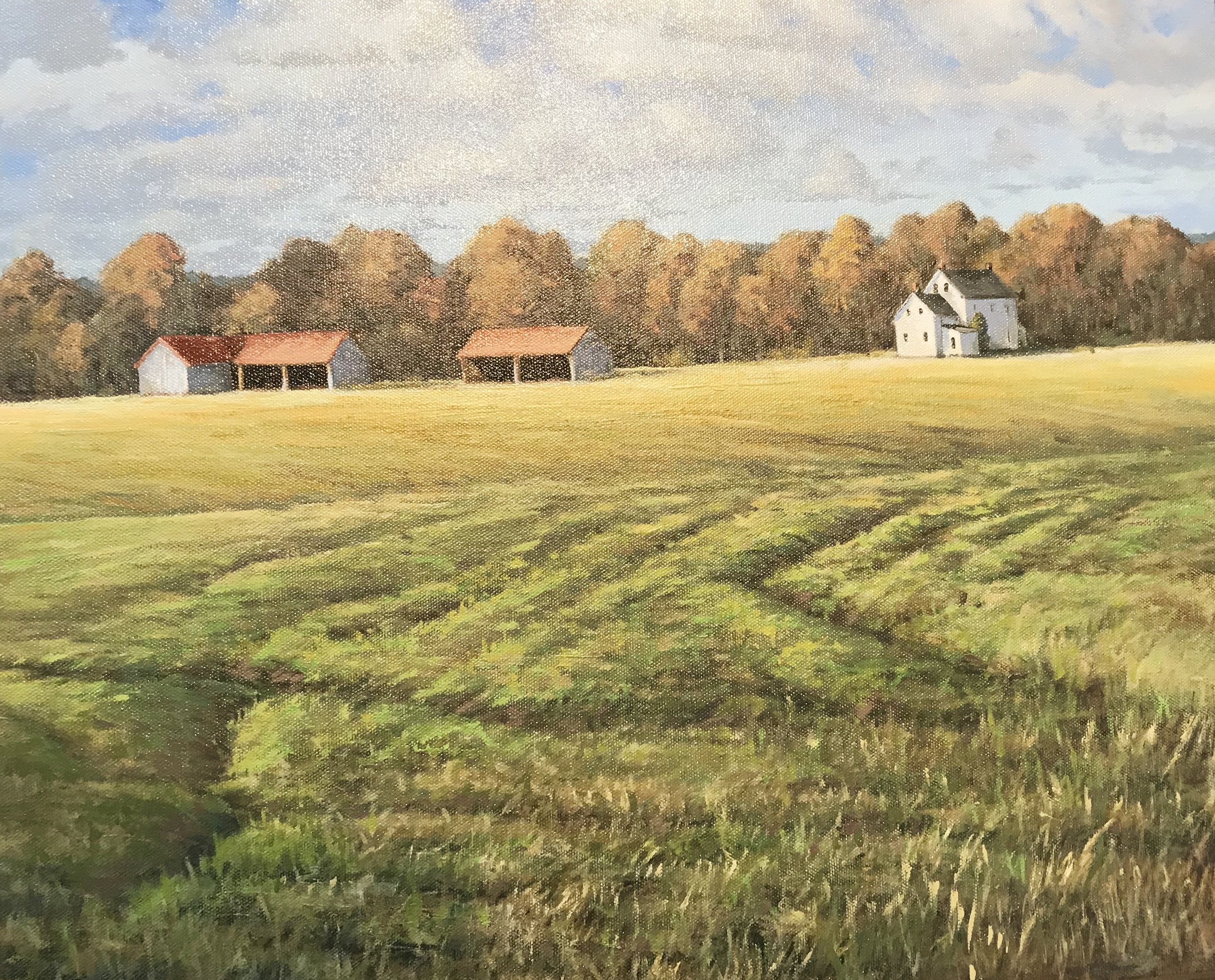 Spring Across the Field oil on canvas16x20.jpg