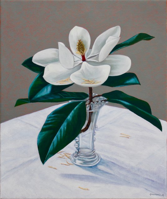 Copy of Erectile Magnolia