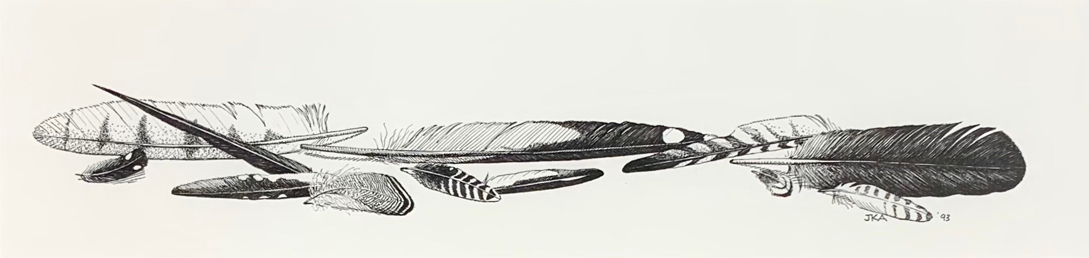 Feather Still Life, 1993  (Copy)